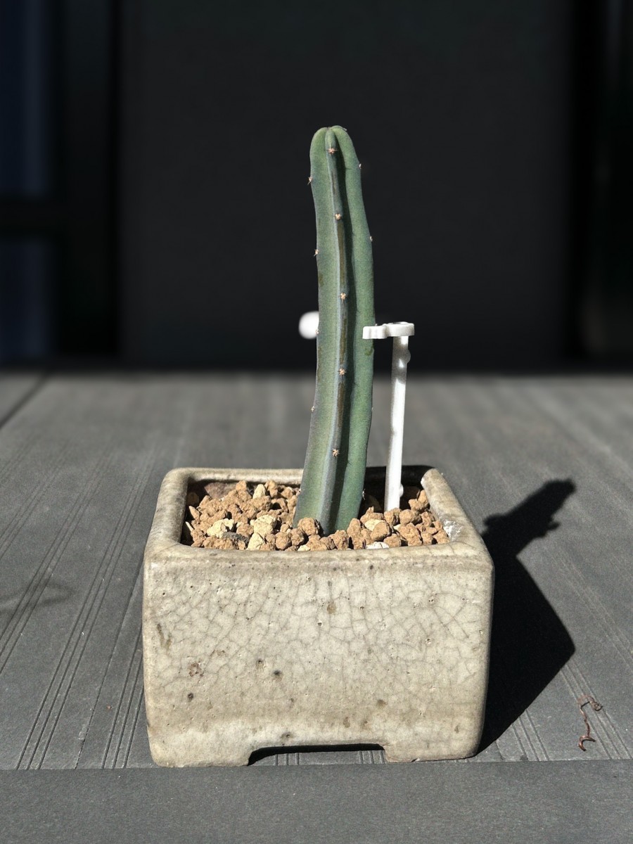 いい仕事してますね